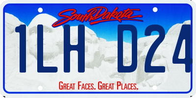 SD license plate 1LHD24