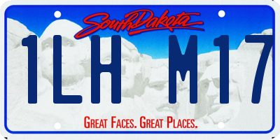 SD license plate 1LHM17