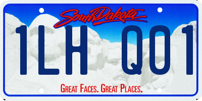 SD license plate 1LHQ01