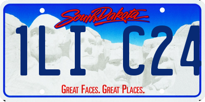 SD license plate 1LIC24