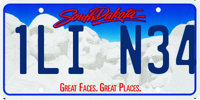 SD license plate 1LIN34