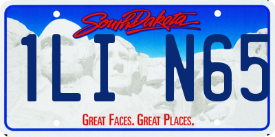 SD license plate 1LIN65