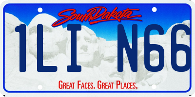 SD license plate 1LIN66