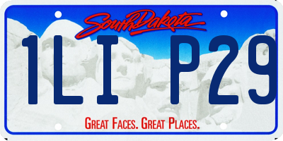 SD license plate 1LIP29