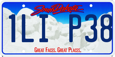 SD license plate 1LIP38