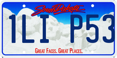 SD license plate 1LIP53