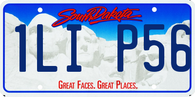 SD license plate 1LIP56