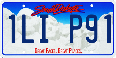 SD license plate 1LIP91
