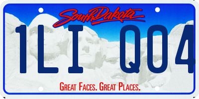 SD license plate 1LIQ04