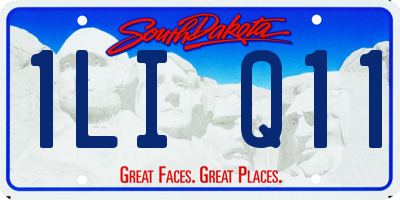 SD license plate 1LIQ11