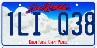 SD license plate 1LIQ38
