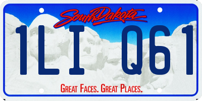 SD license plate 1LIQ61