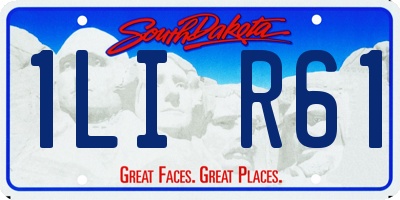 SD license plate 1LIR61