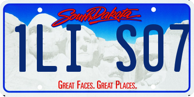 SD license plate 1LIS07