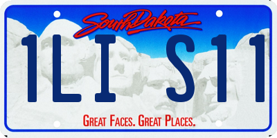 SD license plate 1LIS11