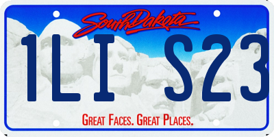 SD license plate 1LIS23