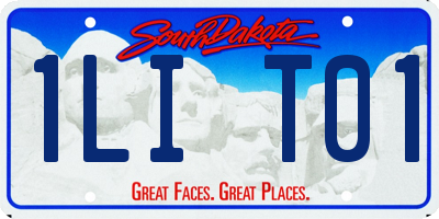 SD license plate 1LIT01