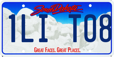 SD license plate 1LIT08