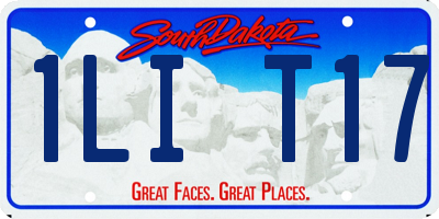 SD license plate 1LIT17