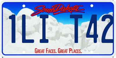 SD license plate 1LIT42