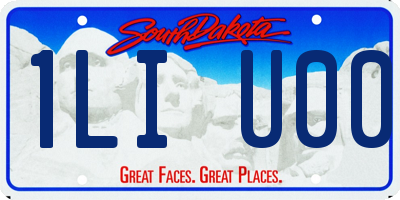 SD license plate 1LIU00
