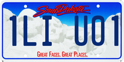 SD license plate 1LIU01