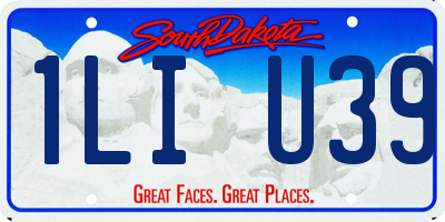 SD license plate 1LIU39