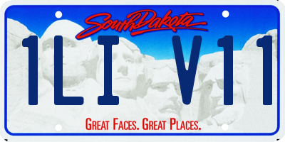 SD license plate 1LIV11