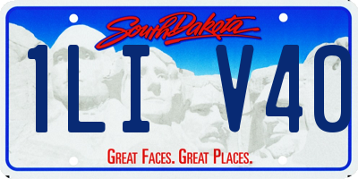 SD license plate 1LIV40