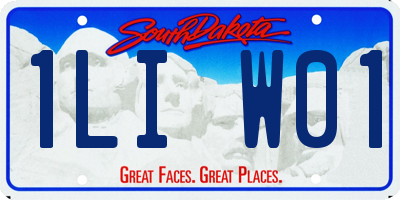 SD license plate 1LIW01
