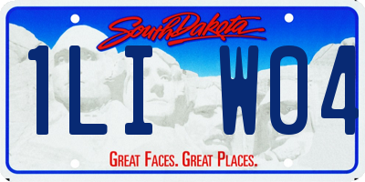 SD license plate 1LIW04