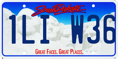 SD license plate 1LIW36