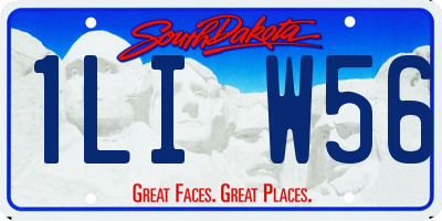 SD license plate 1LIW56