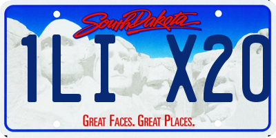 SD license plate 1LIX20