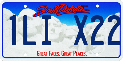 SD license plate 1LIX22
