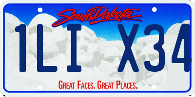SD license plate 1LIX34