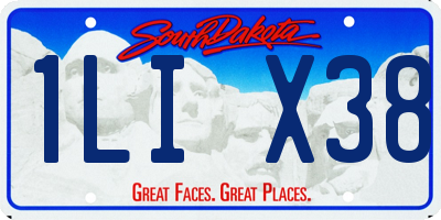 SD license plate 1LIX38