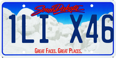 SD license plate 1LIX46