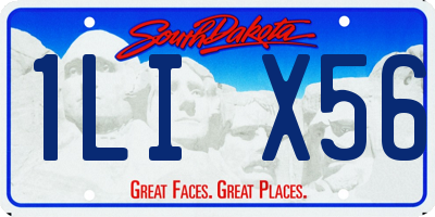 SD license plate 1LIX56