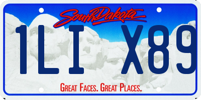 SD license plate 1LIX89