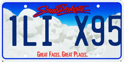 SD license plate 1LIX95