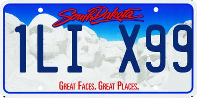 SD license plate 1LIX99