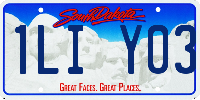 SD license plate 1LIY03