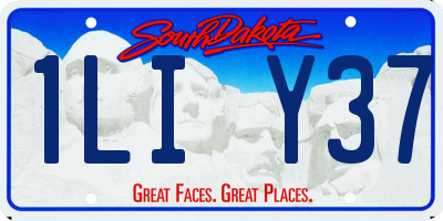 SD license plate 1LIY37
