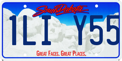 SD license plate 1LIY55