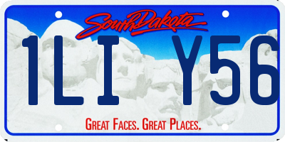 SD license plate 1LIY56
