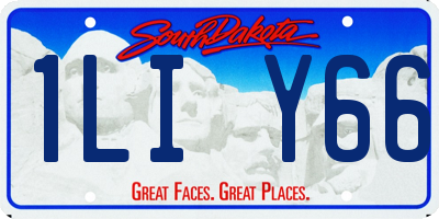 SD license plate 1LIY66