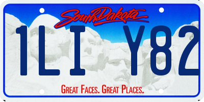 SD license plate 1LIY82
