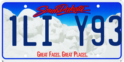 SD license plate 1LIY93