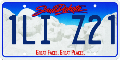 SD license plate 1LIZ21